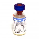 Нобивак DHPPI, лиофилизированный порошок для раствора + средство для раствора 1 доза 0,5см3 + 1мл 1 шт вакцина против чумы плотоядных инфекционного гепатита парвовирусного энтерита и парагриппа собак